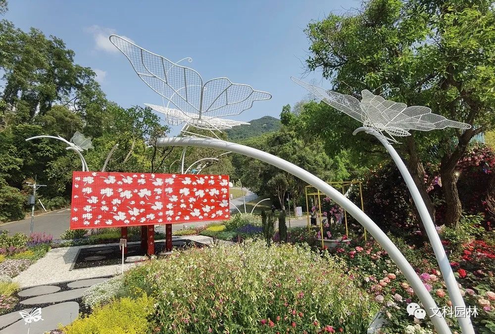 文科园林“幸运盒”花展设计丨中国深圳-24