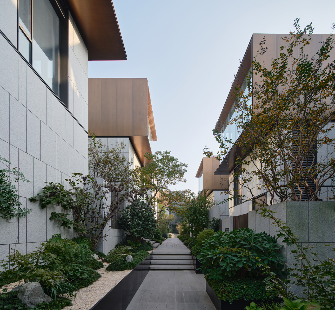 新作 极限容量下的院落空间实验 ：杭丨中国杭州丨孟凡浩-line+-16