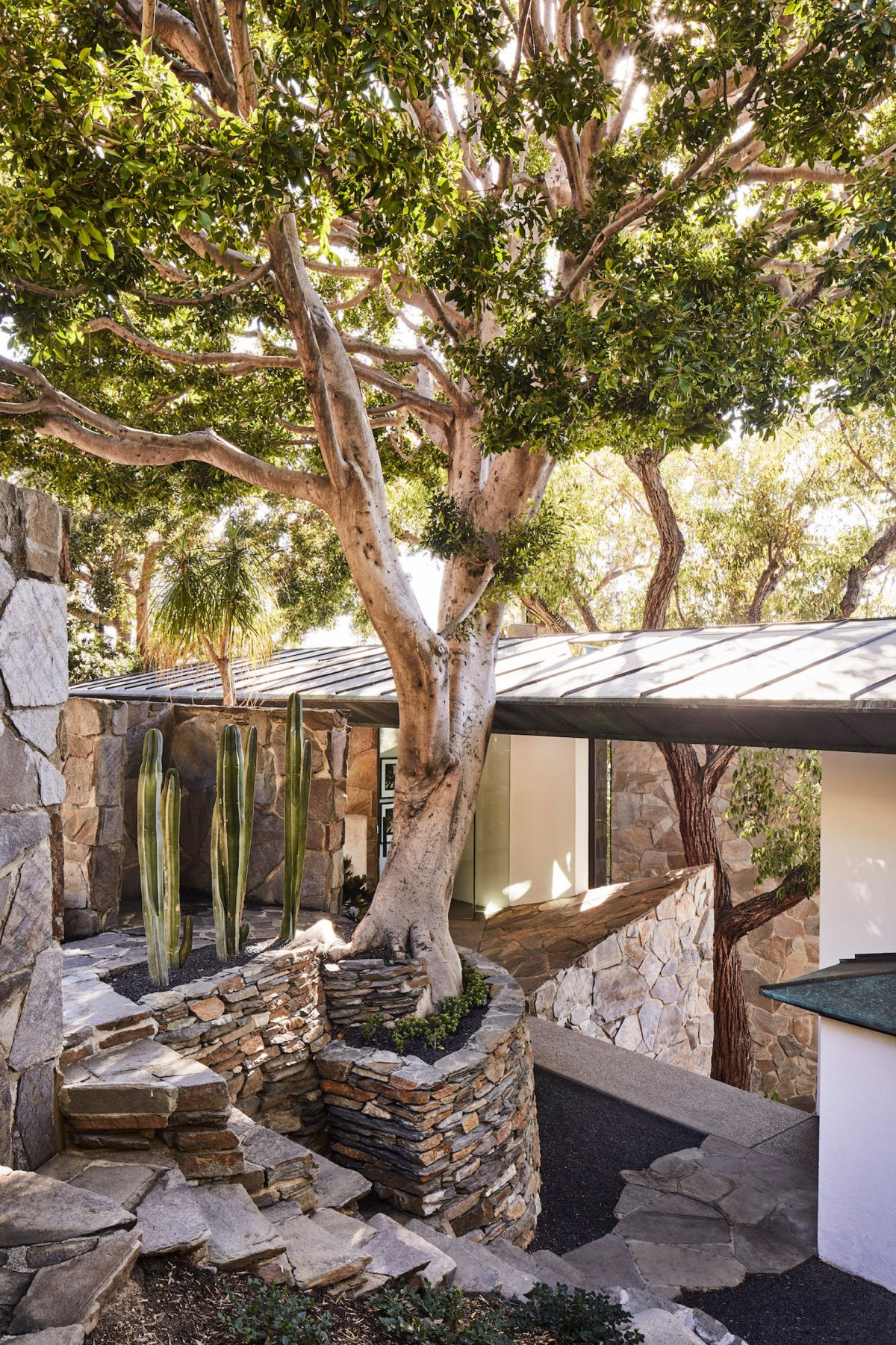标志性的中世纪现代洛杉矶住宅丨John Lautner-12