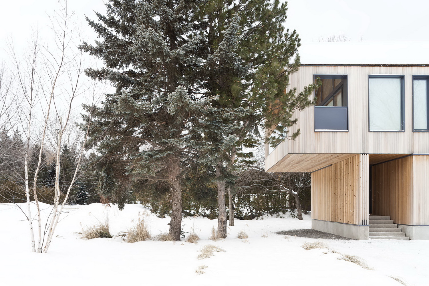 滑雪爱好者的现代艺术之家-29