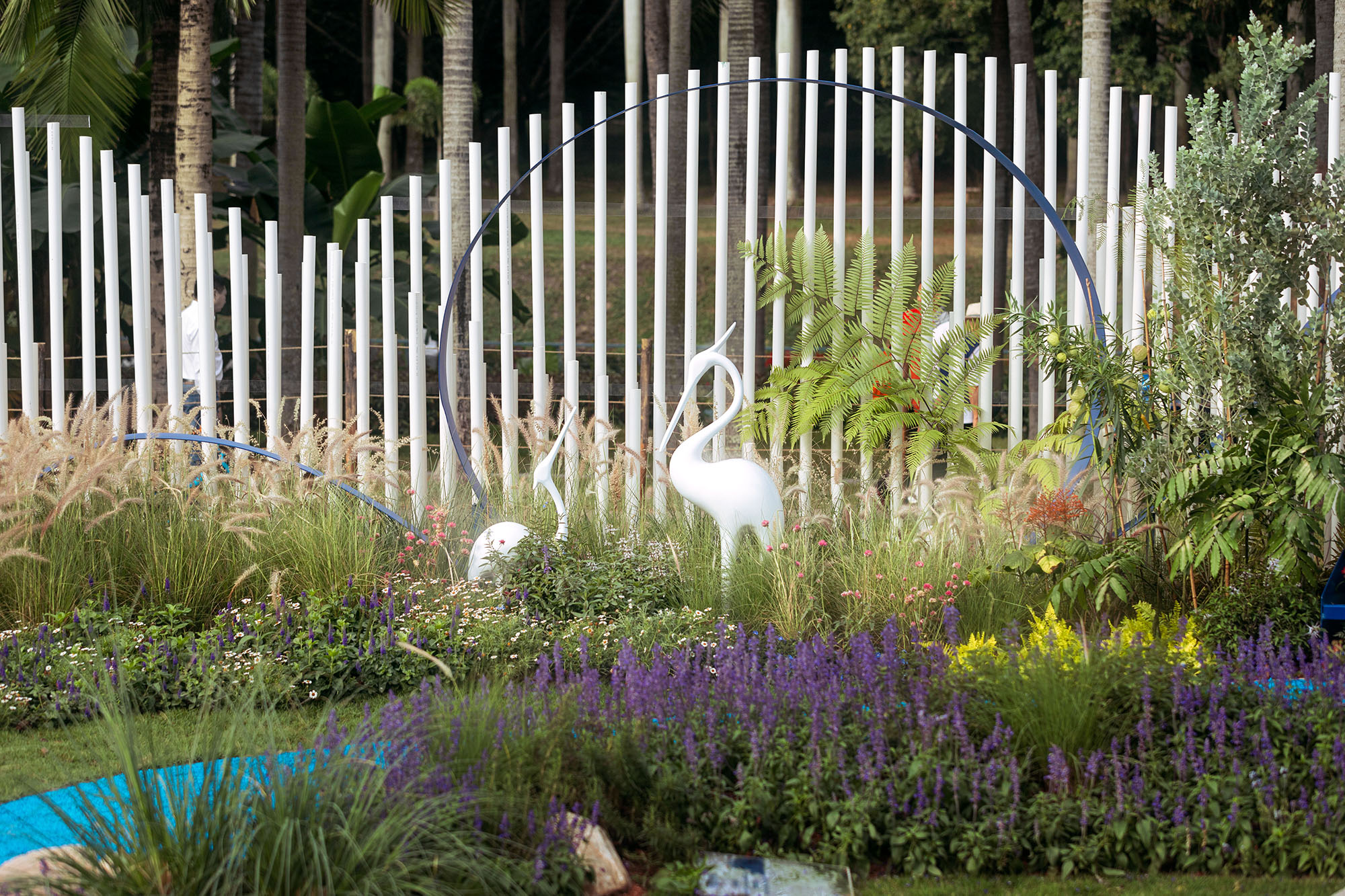 深圳簕杜鹃花展坪山区精品花园丨中国深圳-12