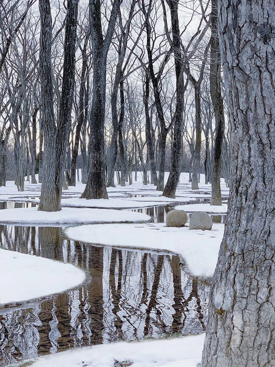 Botanical Garden Art Biotop / Water Garden-11