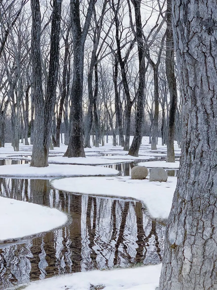 Botanical Garden Art Biotop / Water Garden-11