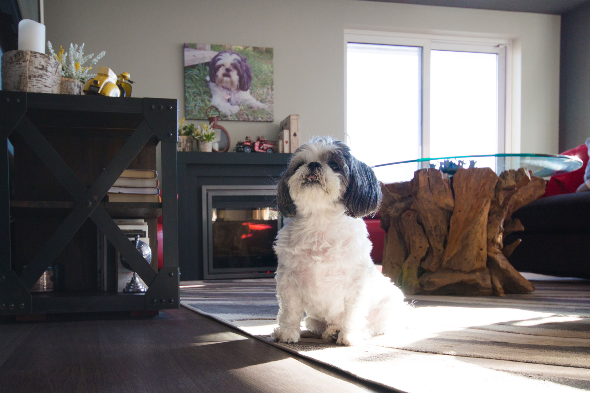 旺市城市生活丨加拿大-22