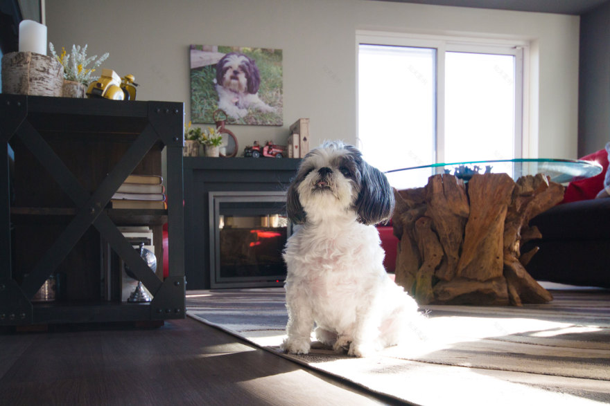 旺市城市生活丨加拿大-22