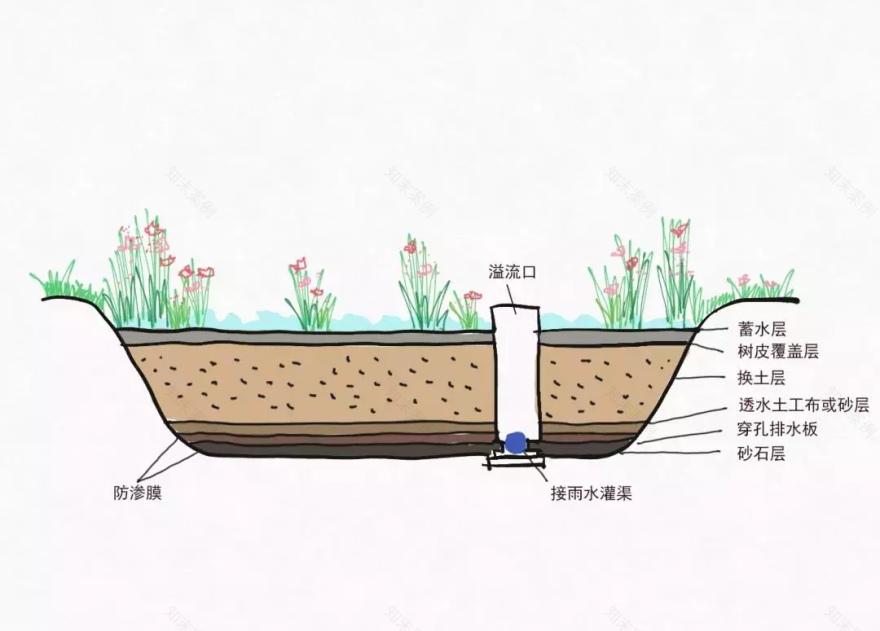 “海绵城市”建设 | 成都的绿色转型之路-34