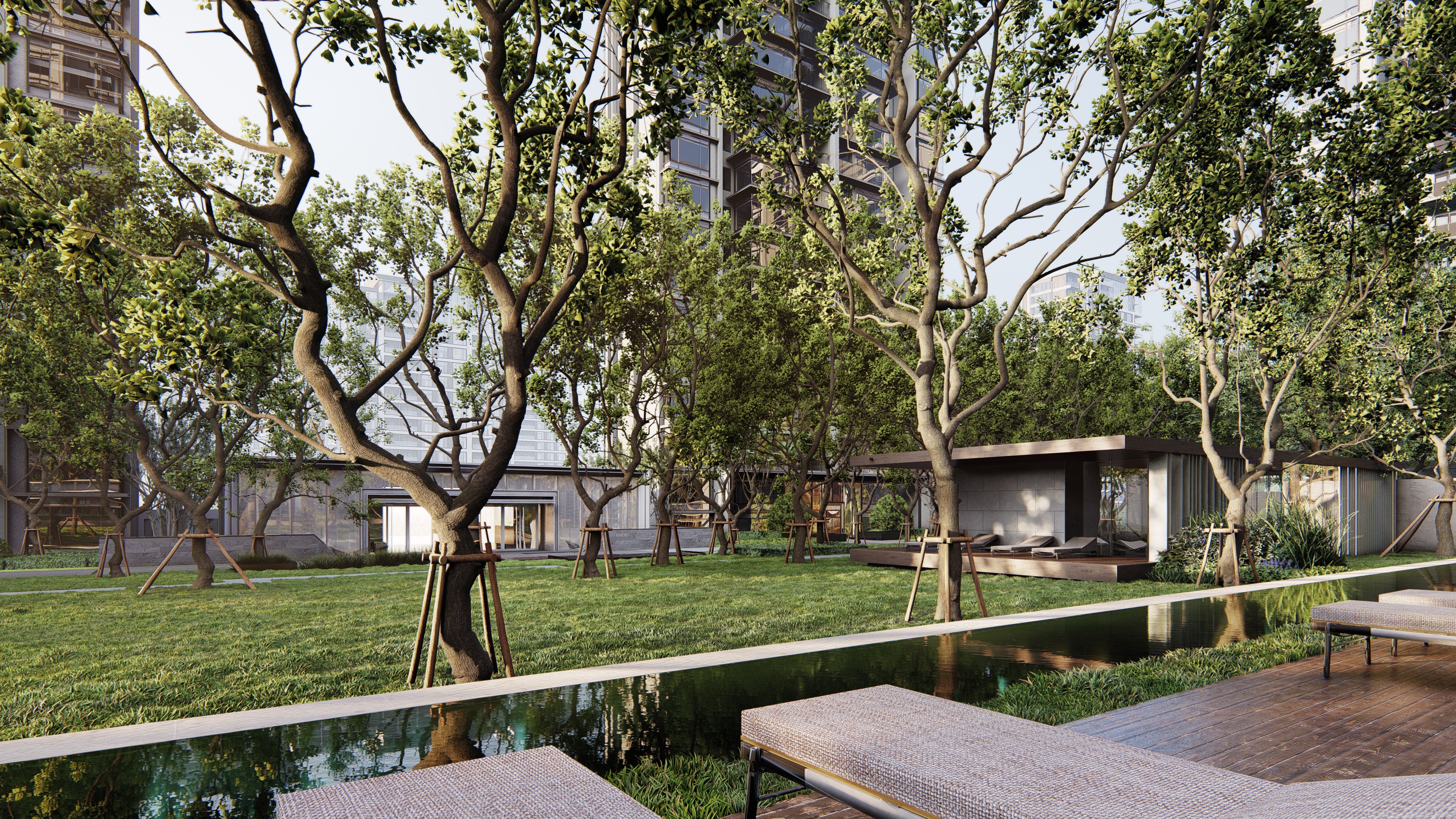 绿意盎然 | Lumion 打造沉静林间空间-5