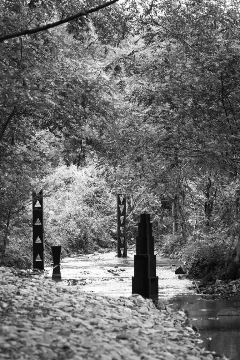 暑假背提-湖州&宣城搭建回顾|从露营地木构到茶山森林装置，探索自然与建造的共生-131