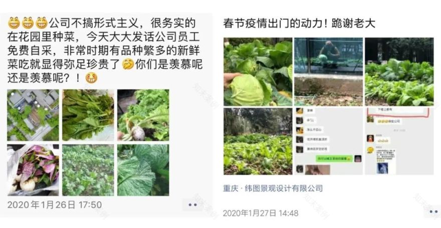 疫情中的温暖小事 | 纬图设计公司的抗疫故事-28