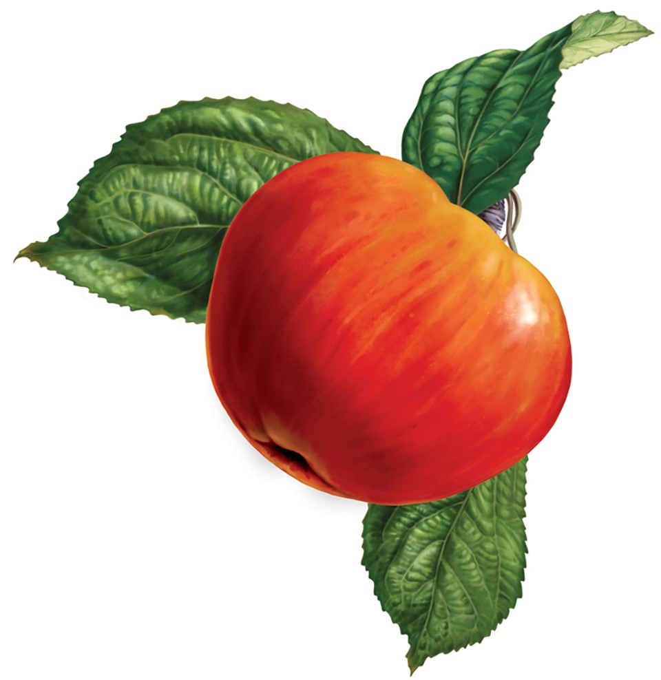 2060牛顿青年旅社，马德里 / Wanna One-67