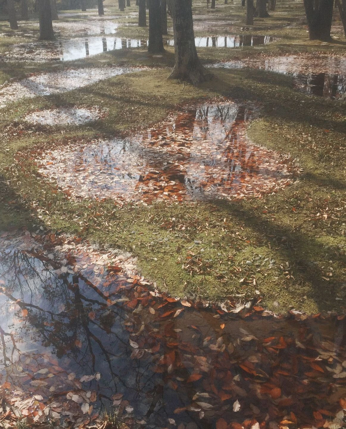 Botanical Garden Art Biotop / Water Garden-9