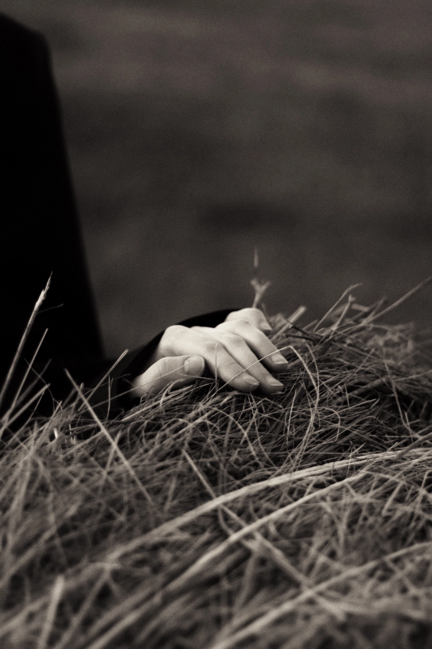 vai chegando (1.2.3 vai)-9