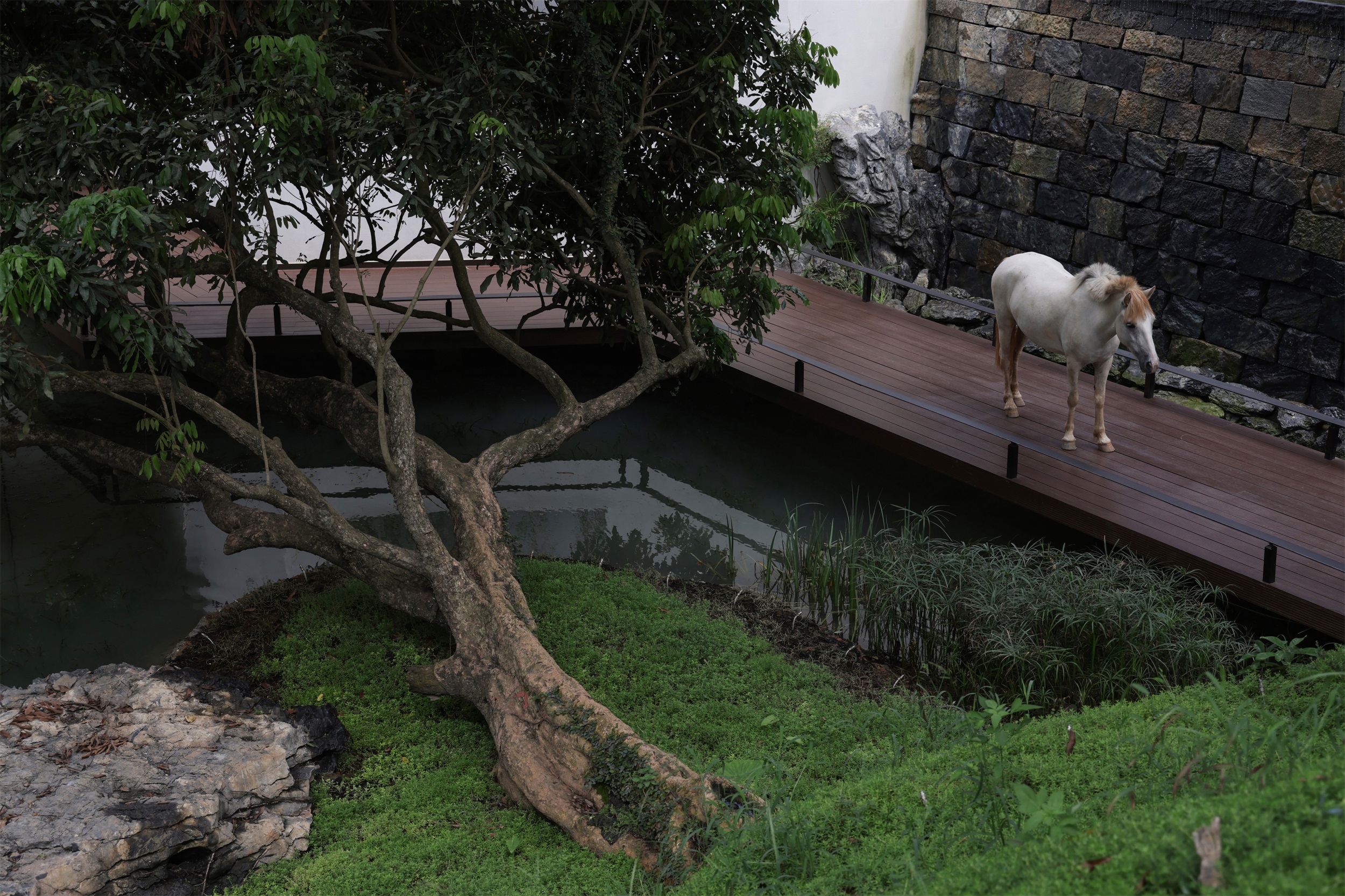 南宁五象果林社区公园丨中国南宁丨深圳柏影景观设计有限公司-80