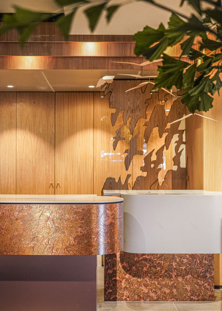 Carlton Oasis ROAM – Hybrid hospitality ESTIDA-26