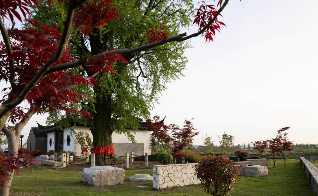 苏州市震泽镇“五美三优”乡村改造丨中国苏州-12