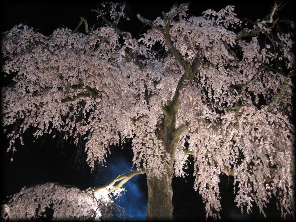 円山公園丨日本京都丨七代目小川治兵衛-31