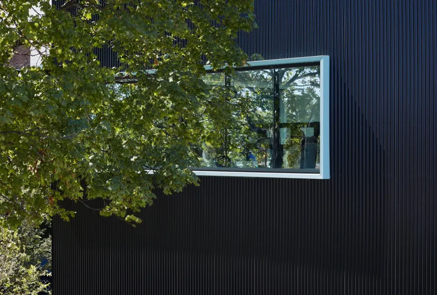 欧米茄酵母丨美国芝加哥丨Valerio Dewalt Train-16