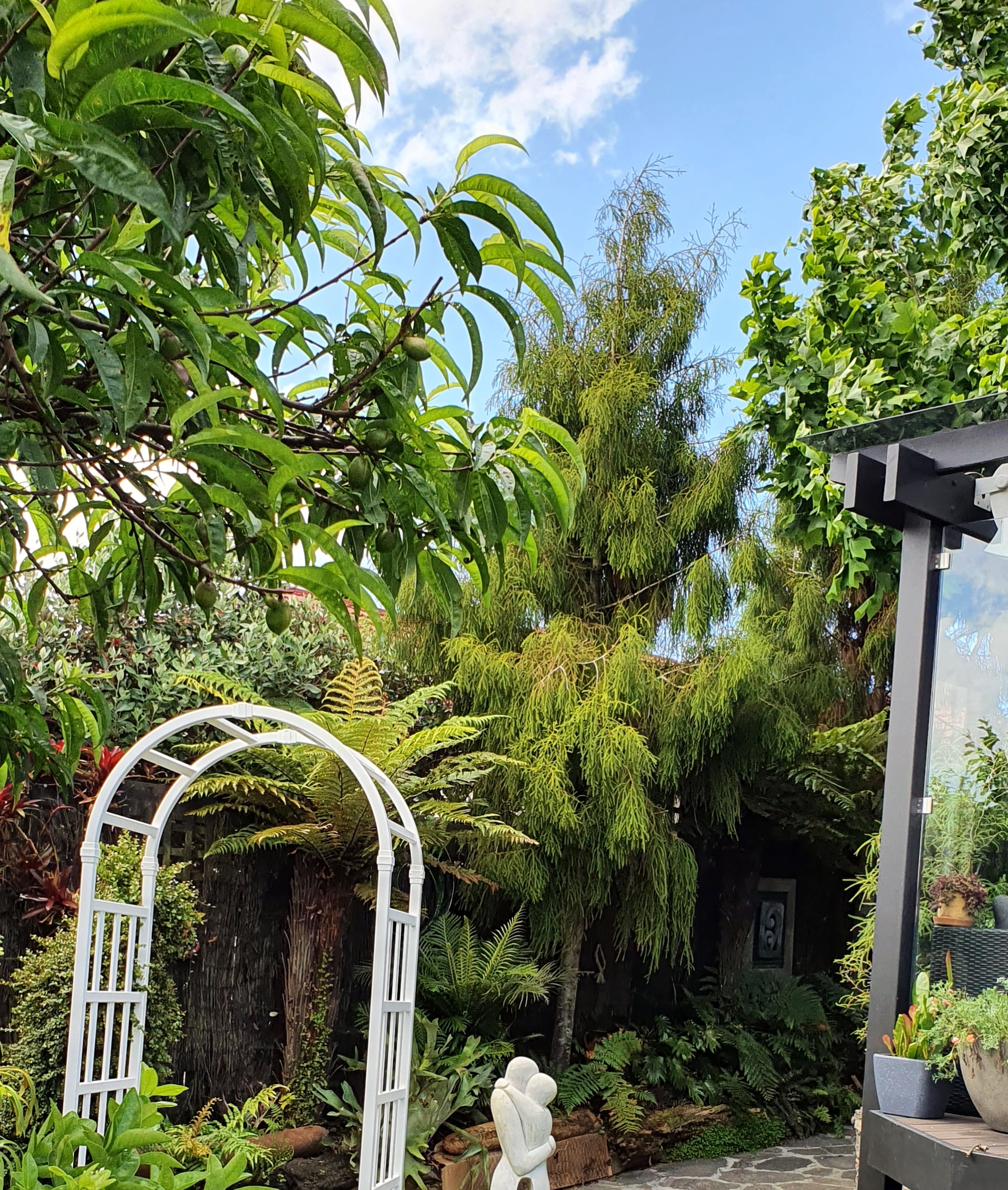 TwoConnect私人花园丨New ZealandAuckland丨Mary和Mark Jones-55