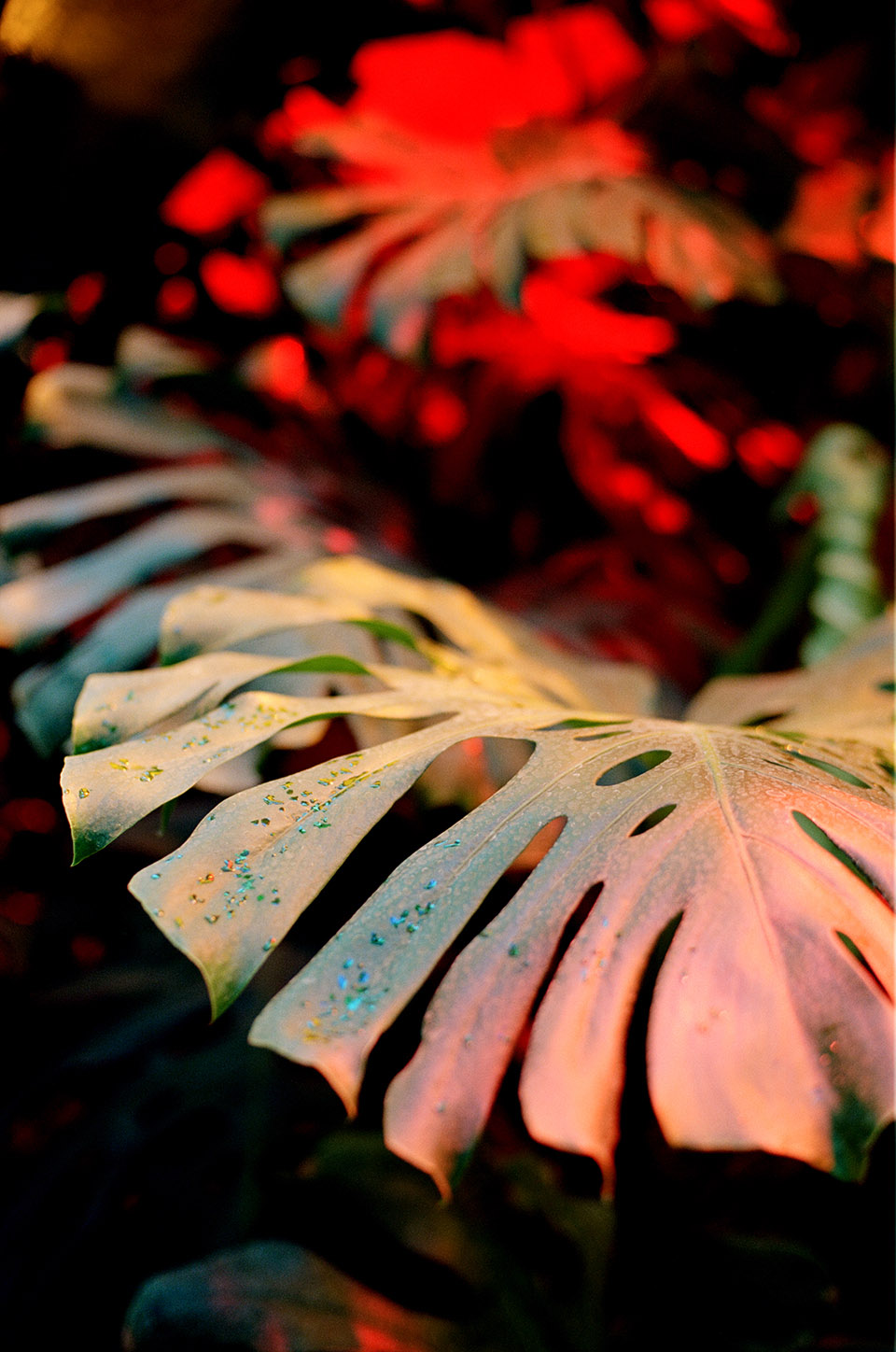 羽蛇神的巢穴丨墨西哥丨Javier Senosiain Aguilar-105