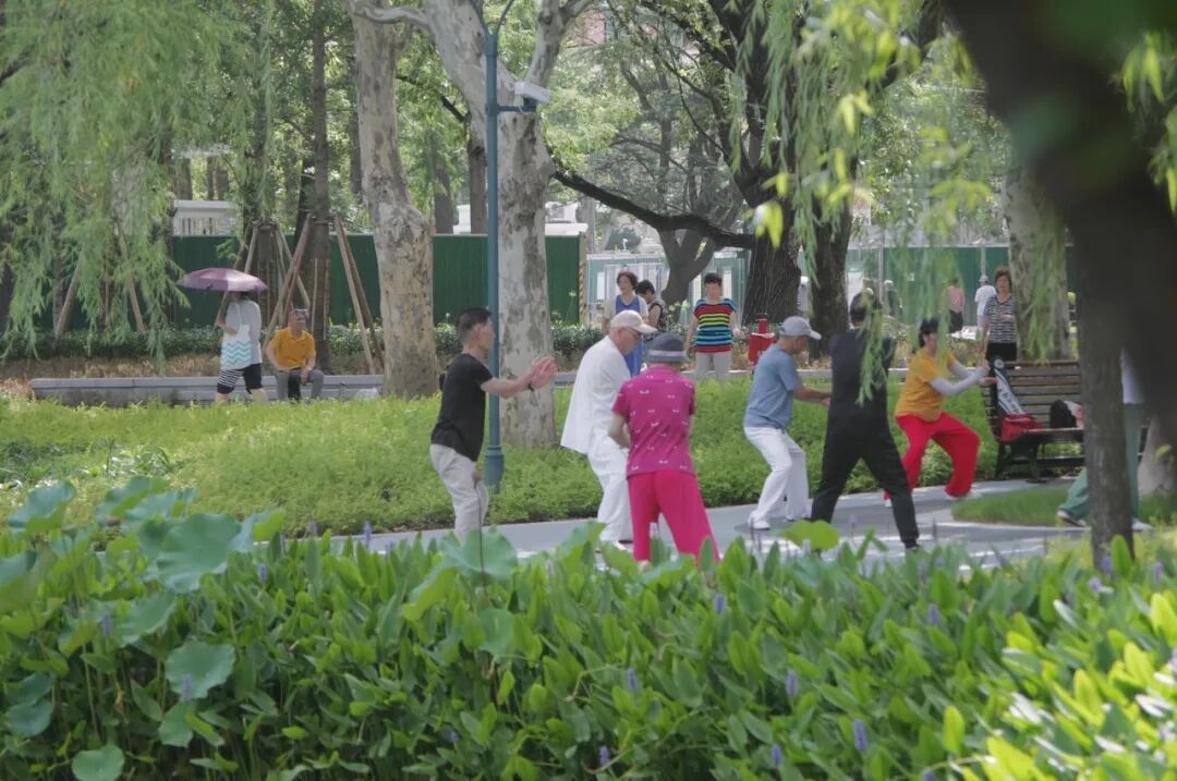 中国园林·理事专栏|“拓”之力量：杨浦公园改造纪实(三)-281