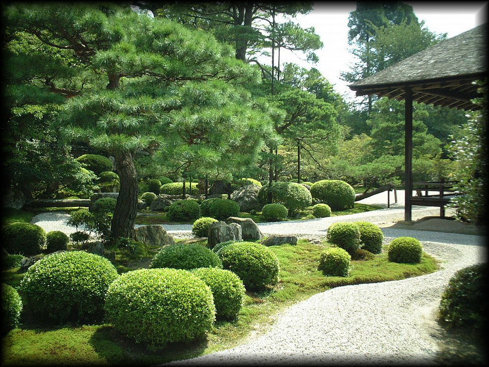 曼殊院门迹丨日本京都丨无明确信息-18