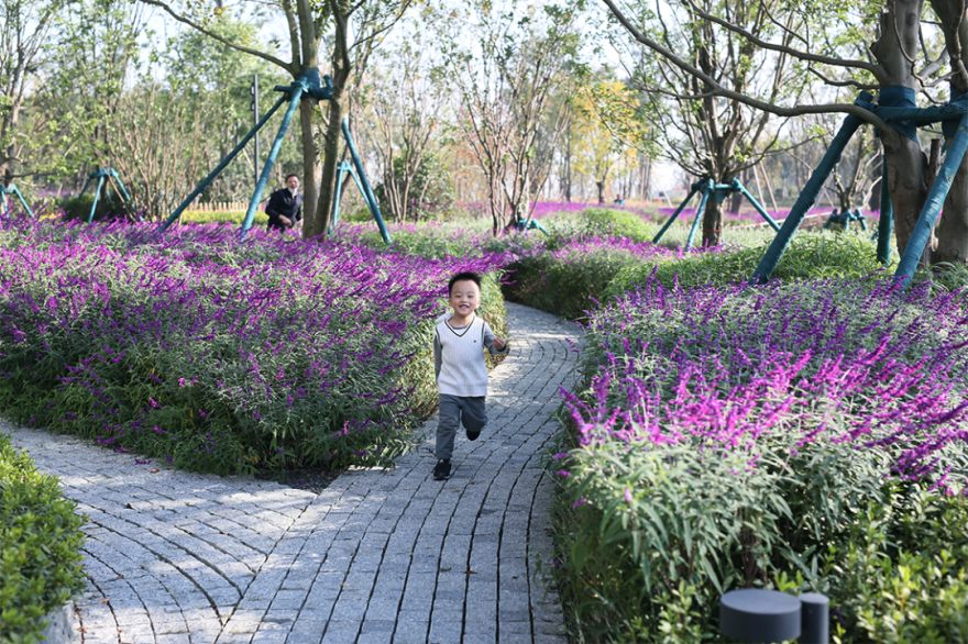 成都东安湖木棉花酒店丨中国成都丨Lab D+H,CELEC成都绿茵景园-94