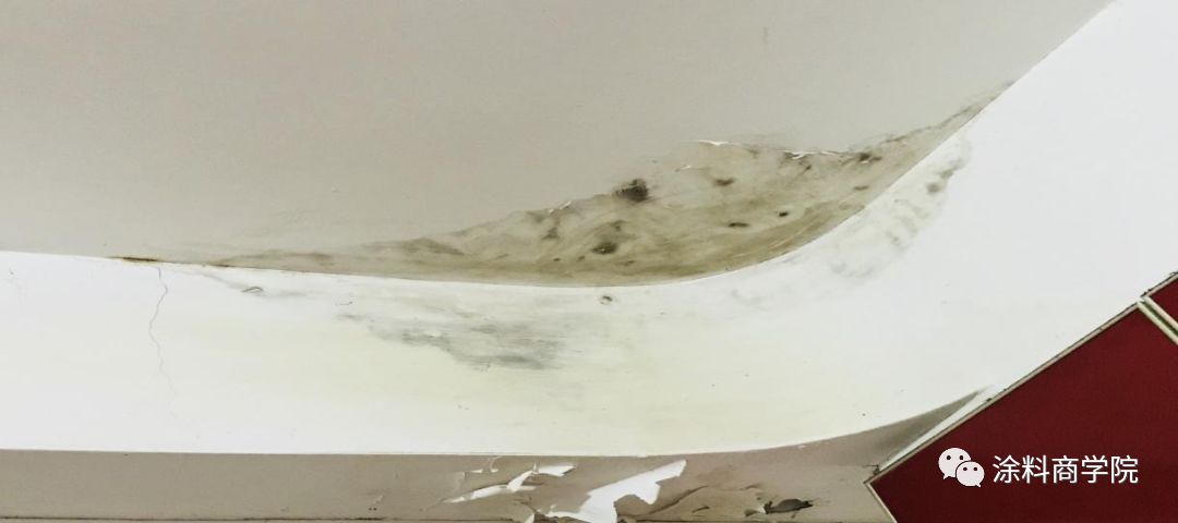 老墙翻新宝典 | 墙面开裂如何补救?-45