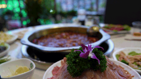 绿意盎然,火锅心情——自然环境对火锅体验的影响-21