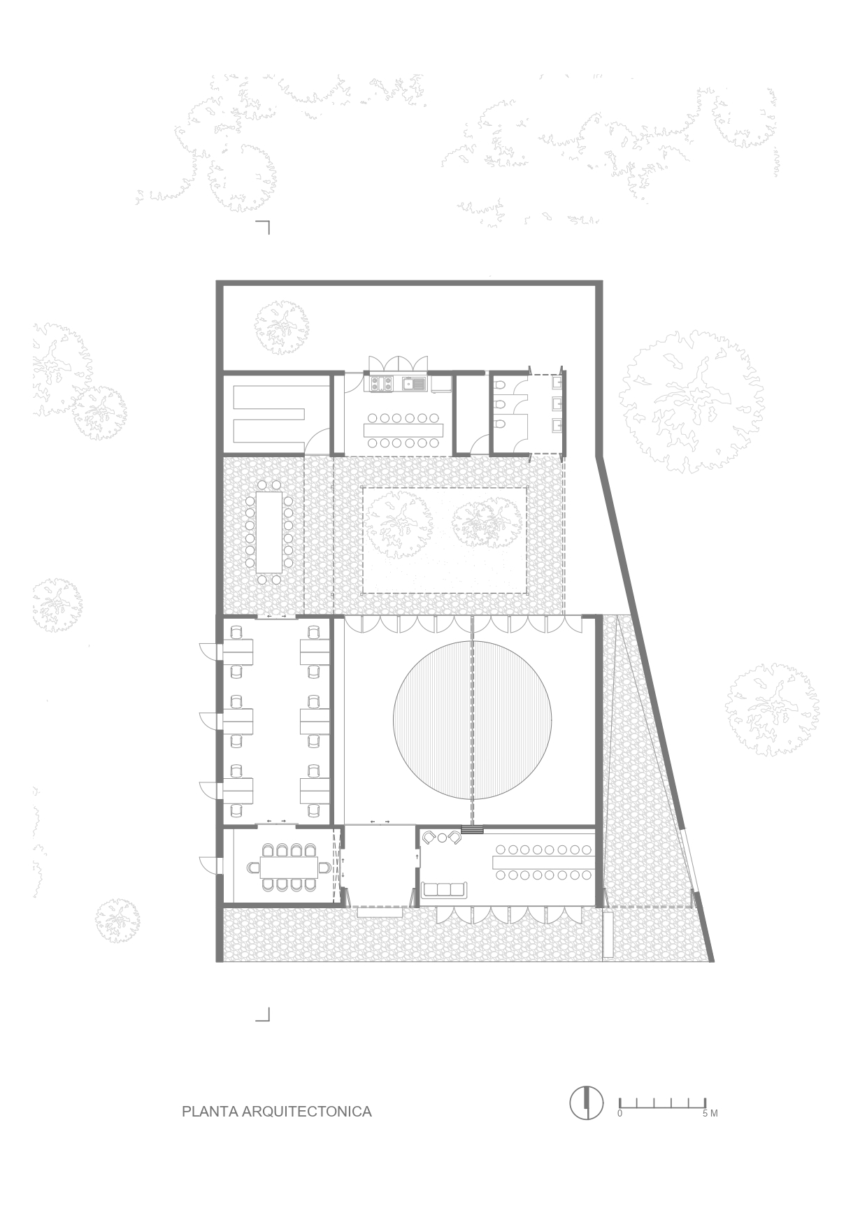 Girl Move Academy / ROOTSTUDIO + Paz Braga-8