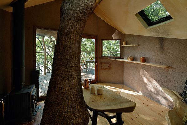 300老樹木屋計畫「熱海鳥居」（Kusukusu）丨日本丨日本小林崇,NAP Architects-21