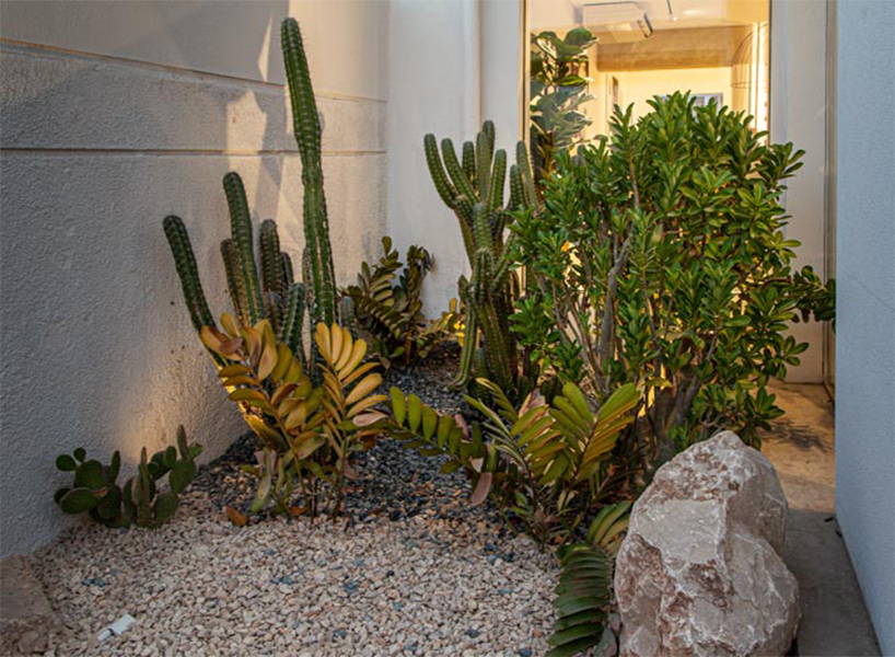 Purity Showroom · 中东地区的欧洲风格纯净展示空间丨ambientStudio-47