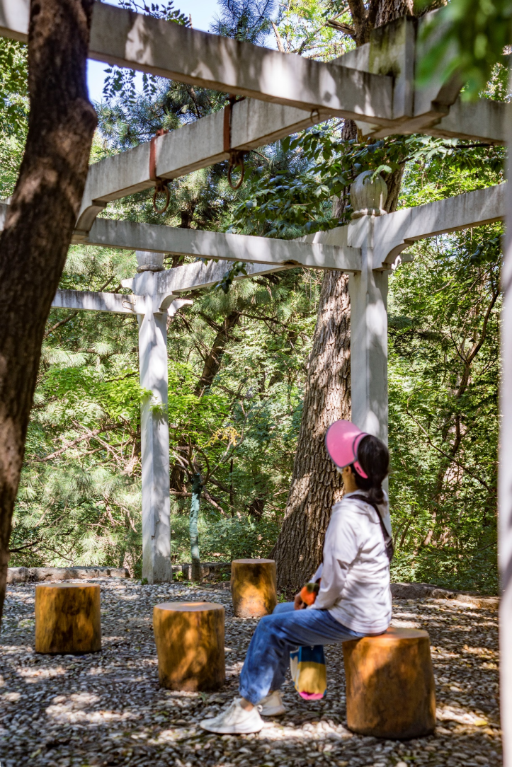 “百年中法友谊的见证者”——北林地景助力贝家花园焕新开放-57