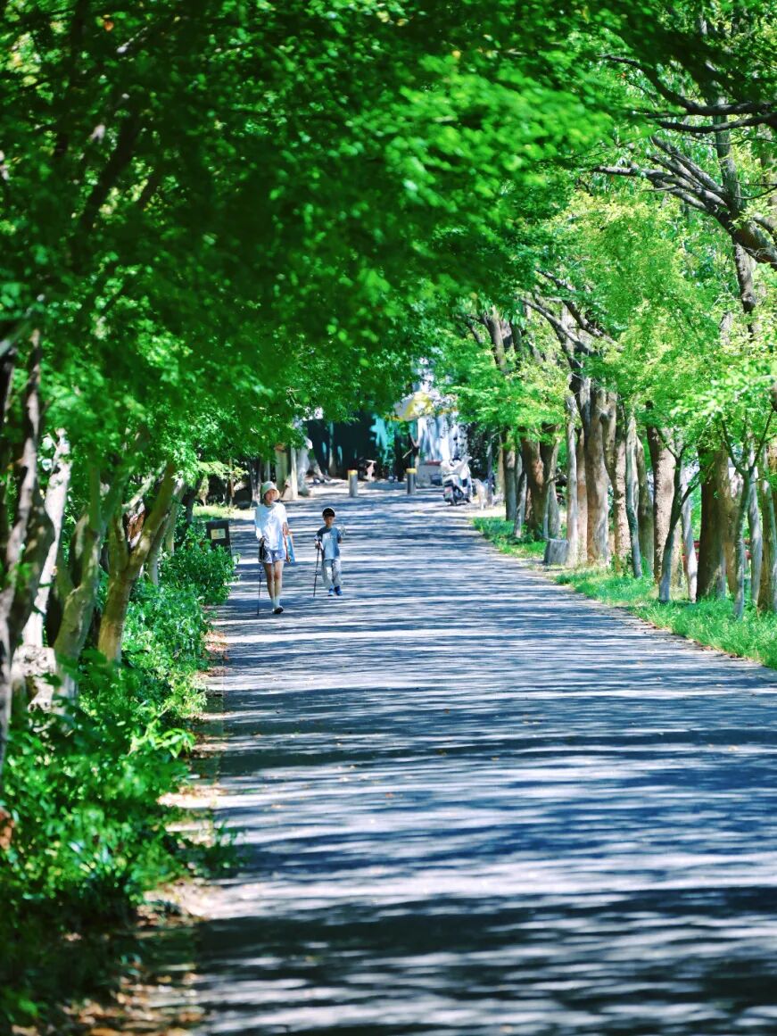 周末带娃撒欢，去旺山郊野公园觅野趣！-30