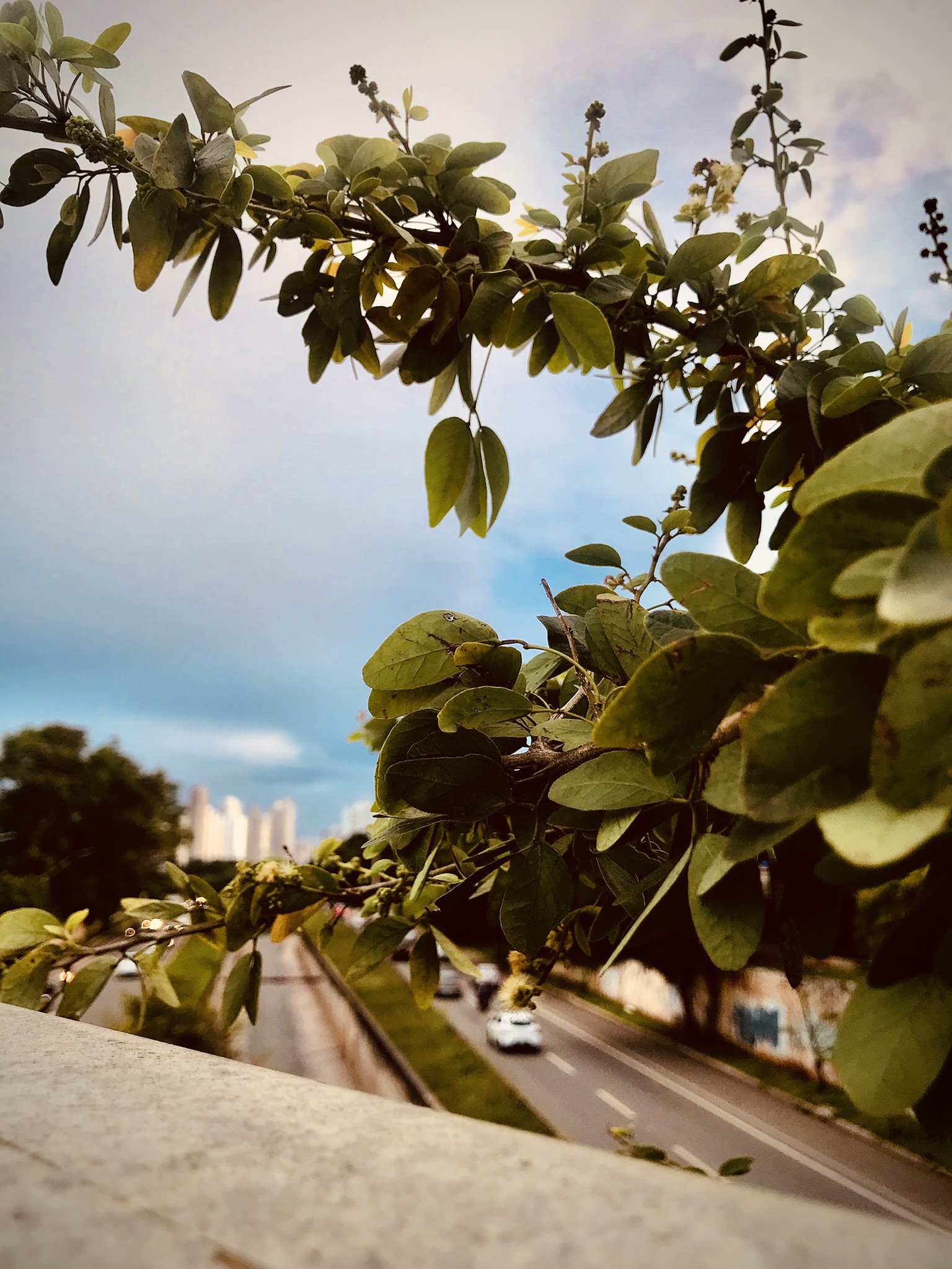 Urban Atmospheres #01 (Day) | Cityscape Photos-3