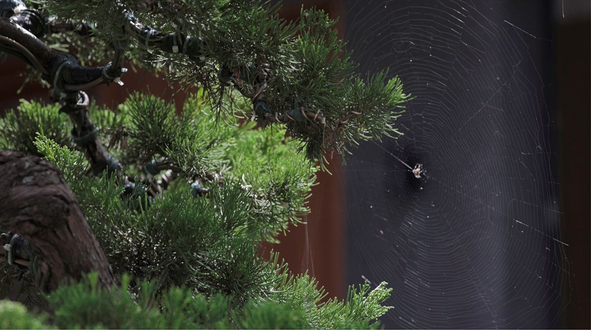 和谐共生 · 现代家庭中的传统越南之美-41