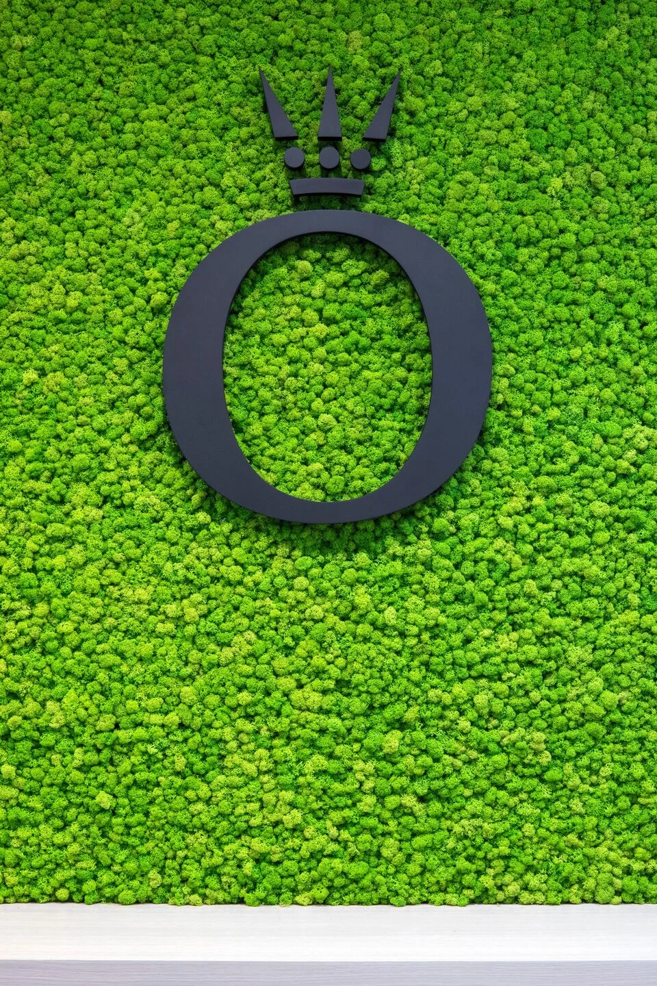 迪拜 PANDORA 总部-32