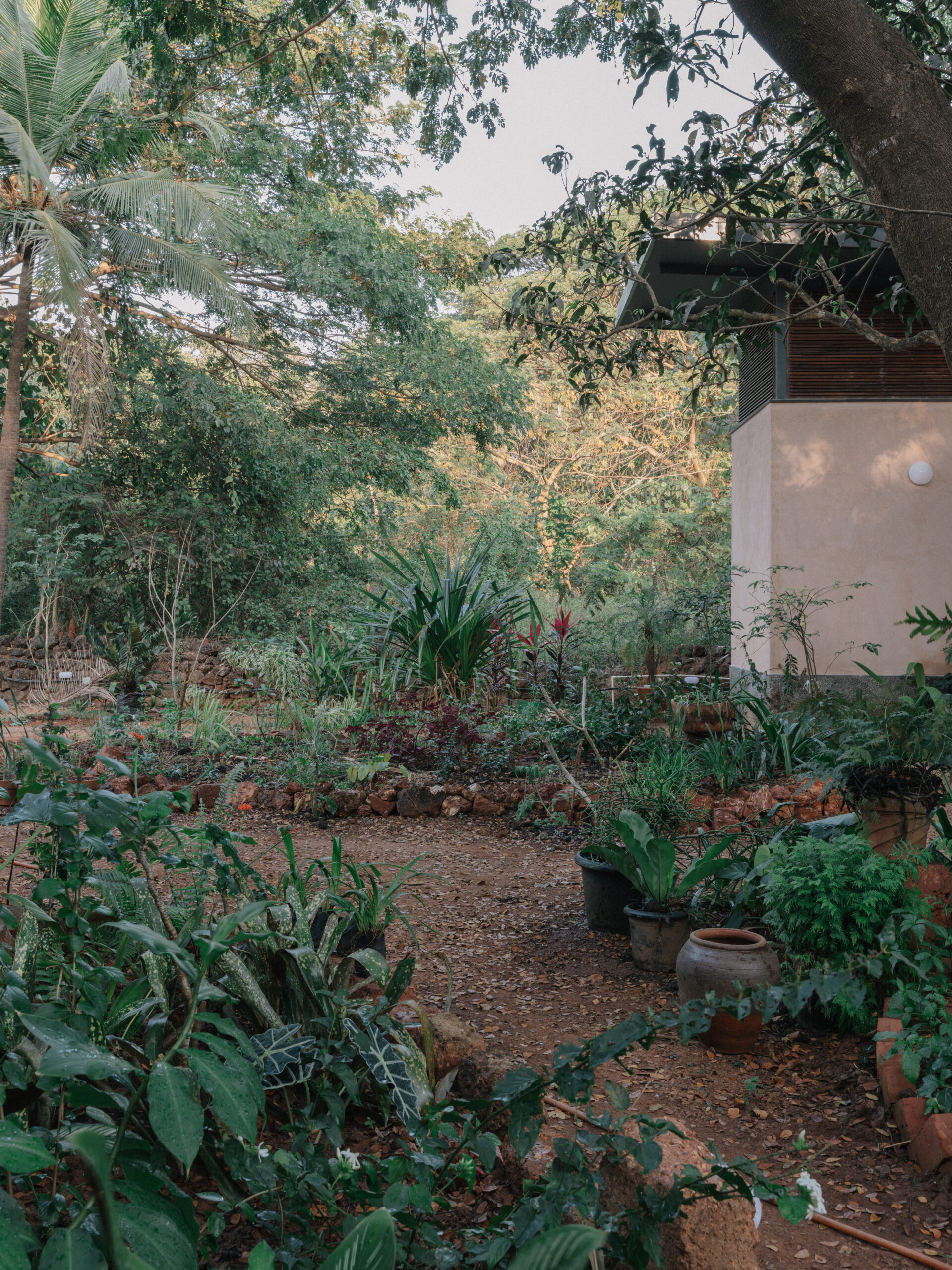 科尔朱埃姆的房子丨Field Atelier-28