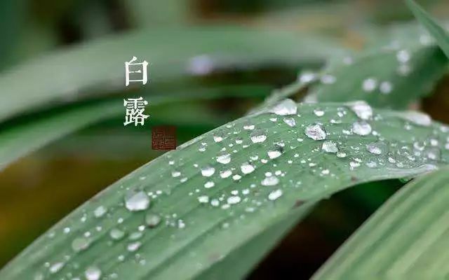 佳源帝都温泉山庄 | 四季与空间共舞,品味生活美学-49