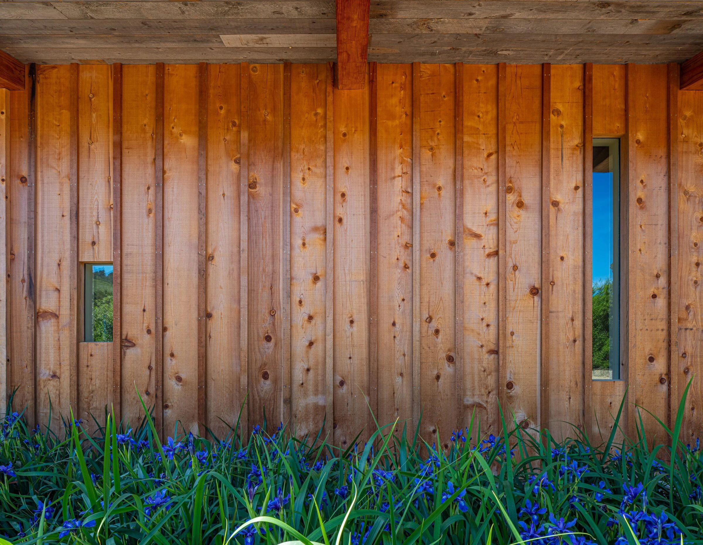 加州卡梅尔谷地零能耗现代别墅-16