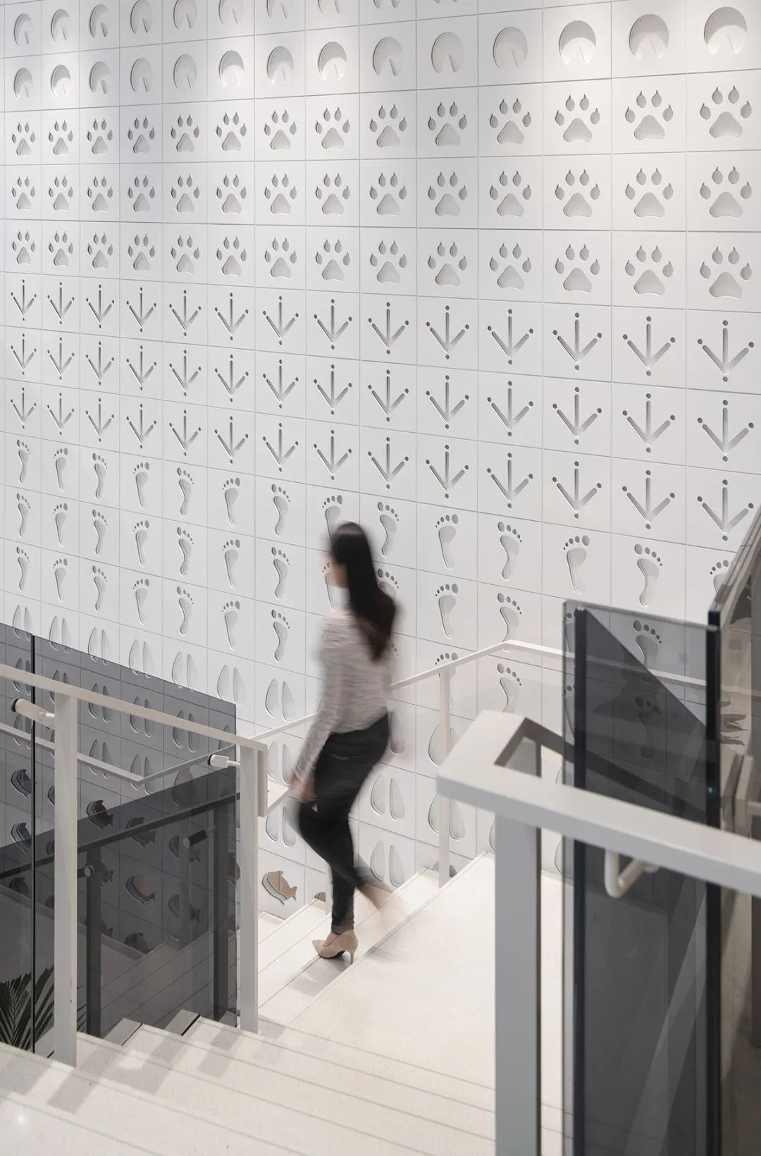 上海硕腾总部办公空间设计丨中国上海丨iDA Workplace-23