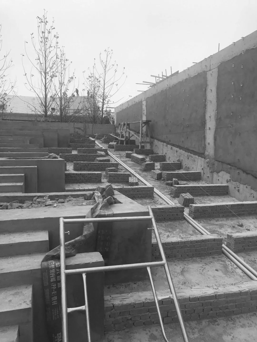 《雁归来》 | 水乡文化的现代解读-144