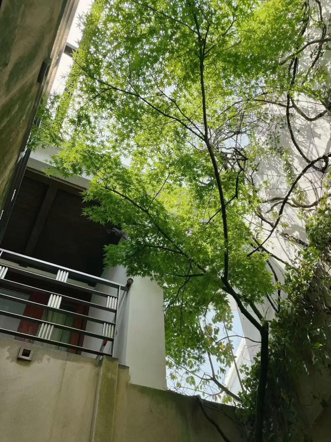 AODESIGN概念｜西郊豪庭-44