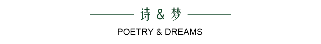 GP上榀设计｜归虚梦演 诗意东方-8