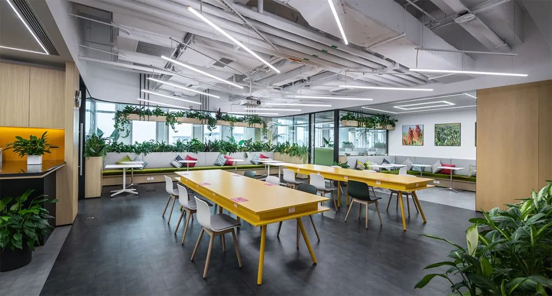 因美纳大中华区总部办公空间设计丨中国上海丨穆氏-49