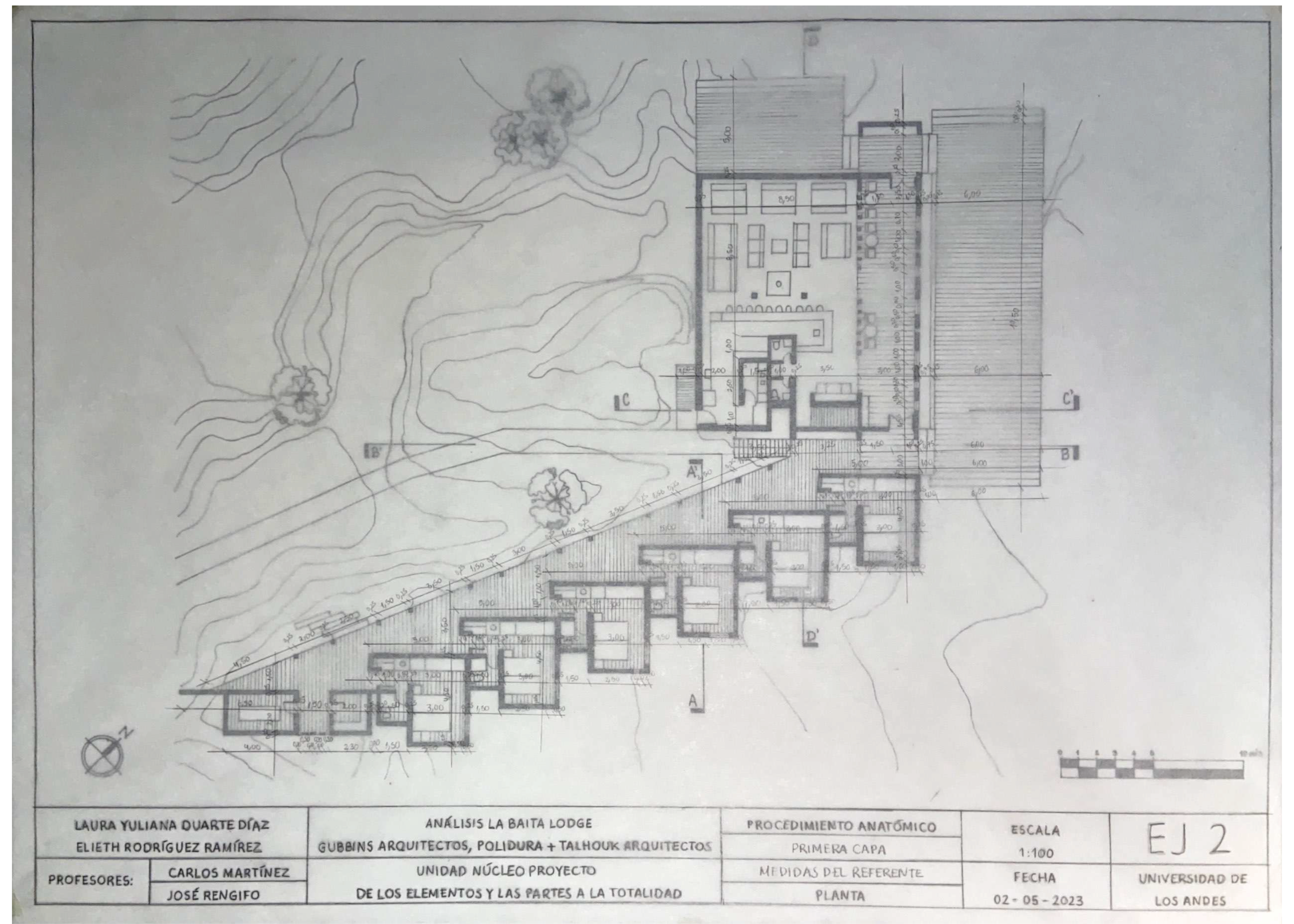 ARQT 2101 - Procedimiento anatómico 2-2