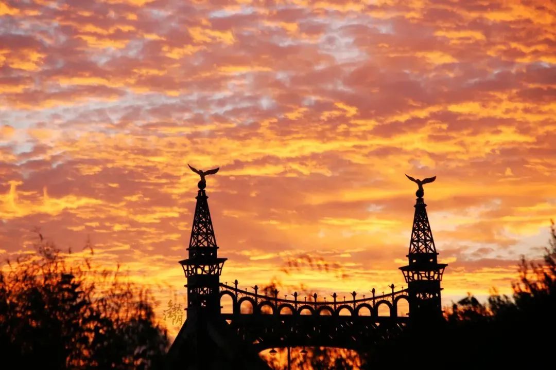 火了！这座中建科工建造的“网红”桥！-17