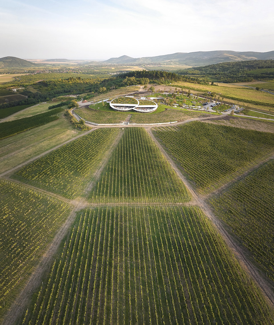 Sauska Tokaj酿酒厂，匈牙利 / BORD Architectural Studio-6