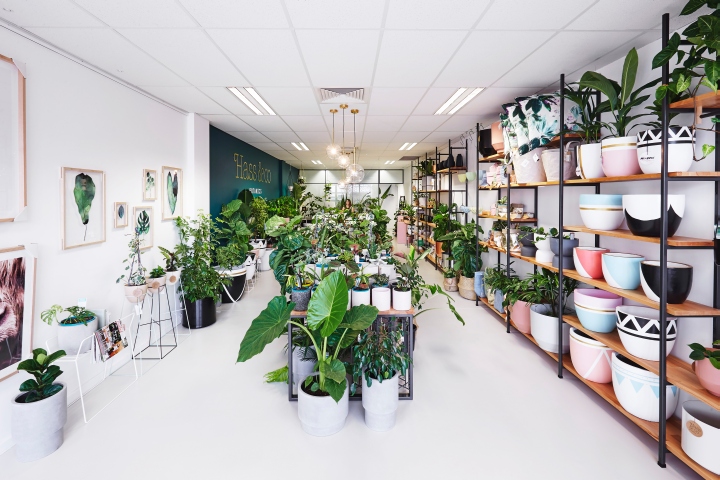 Hass & Co Botanics 店-36