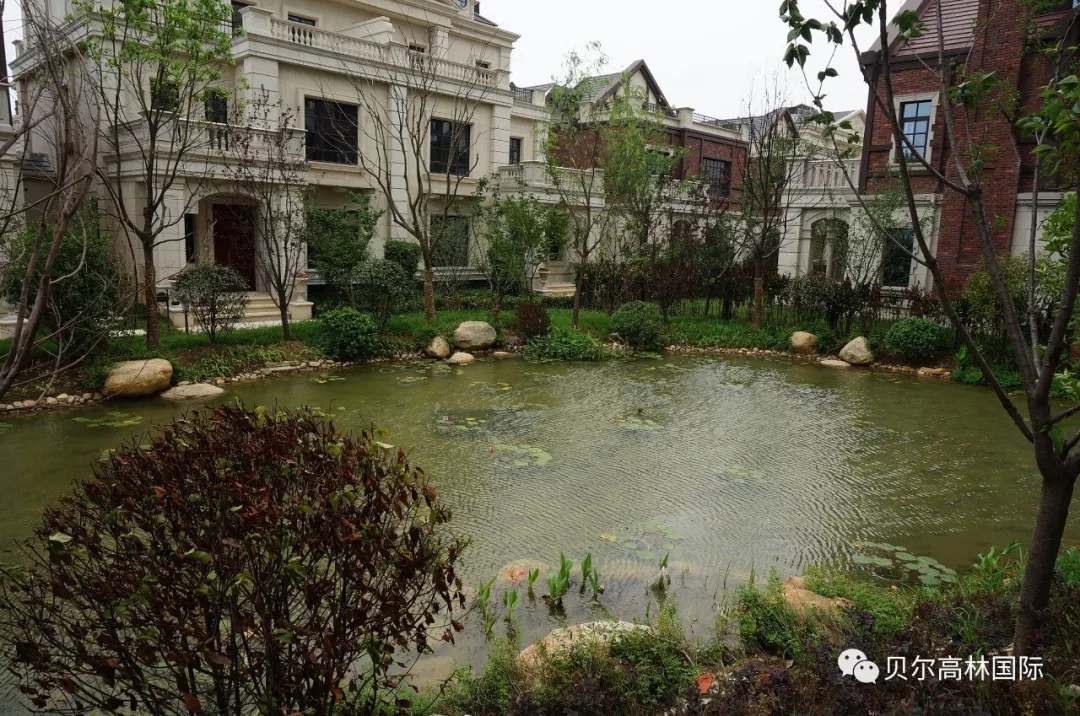 合肥新华•御湖庄园-84