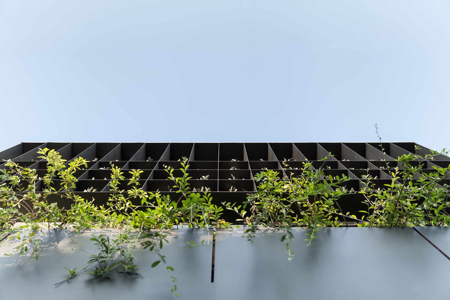 泰国曼谷“花鸟房”翻新设计，自然光与钢结构完美融合-46